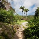 자연속의 집 이미지