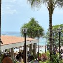 시아리아팜 이미지