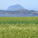 제주도 가파도(加波島) 이미지