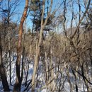 여주-1129 이미지