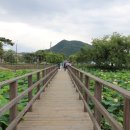 산청에가면