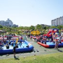 서산시동물보호센터 이미지