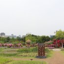 한밭수목원 이미지