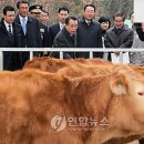 횡성 이미지