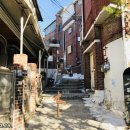 신흥로지선 이미지