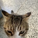체리쉬공방 이미지