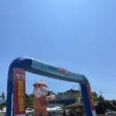 로컬푸드직매장 | 태안 캠핑 필수코스 ㅣ 태안로컬푸드직매장 수산물 장보기 후기(반건조우럭구이 추천)