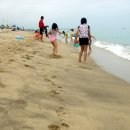 사천음악제 이미지