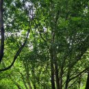 안덕면사무소 이미지