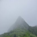 네발로김포지점 | 한라산 관음사코스 시간, 거리 등반 생초짜 후기