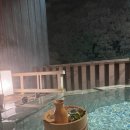 호텔모리 | 마쓰야마 온천호텔 오쿠도고 이치유노모리 1박 후기