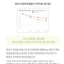 에스테라 이미지