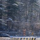 줄리아 펜션 | 양평에 가야만 하는 이유 20가지 나물반찬을 맛볼 수 있는 인생 삼겹살집 쌈지골 (내돈내산 솔직후기)