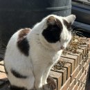 역삼-1291 | [역삼] 카페413프로젝트 (숲속 오두막에 놀러온 것 같은 브런치 카페)