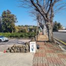 남원읍-93 | 제주 서귀포 남원읍 위미 카페 라룬블루 :: 빵지순례 소금빵 붕어빵 맛집 서귀포 빵집 재방문 후기