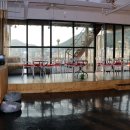 개인생활펫 이미지