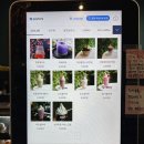 어반네이처 | 부산벡스코카페 어반네이처 후기🌿