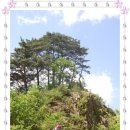 가리왕산목장 이미지