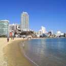 송도해수욕장 이미지