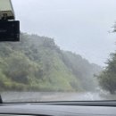 ㅈㅇ | 사진 못찍는 ㅈㅇ가 찍어주면 생기는 일