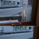 라벤더포차 이미지