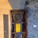 견생냥품 광주선운점 이미지