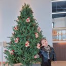 향남점 현대자동차 | 향남디저트카페 맛집 DEAR.U(디어유) 베이커리 데이트장소 추천