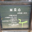 용산-이촌-518 이미지