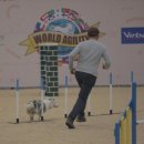 국가대표 챔피언 이미지