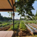 조준호농장 이미지