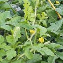 이순길농장 이미지