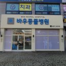 포인트동물의료센터 이미지
