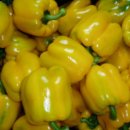 현제농장 이미지