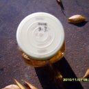 춘식이네 이미지