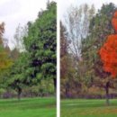 안경매니져 행구점 이미지