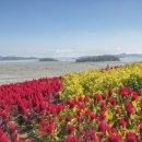 병풍도