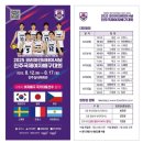 2019-주126 | 2025년도 서른네번째 일기