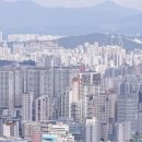 개미부동산중개 이미지