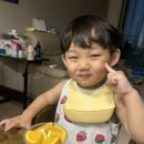 쥬스킹상상핫도그