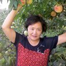 기석농장 이미지