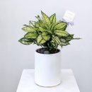 월산동행정복지센터 이미지