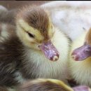 고요하우스 이미지