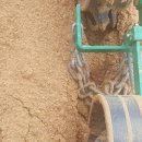 이한우농장 네이버블로그