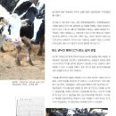 한빛목장 이미지