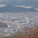 와수체육관 Daum카페