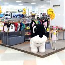 홈플러스 의정부점 이미지