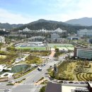 조선대학교 체육대학 이미지