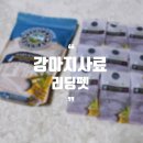 리딩펫