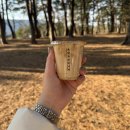 강원특별자치도강릉의료원 | [강원/강릉·주문진] 2박 3일 솔직 후기 ㅣ 맛집·카페·바다 총정리