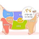 돼지삼총사 이미지